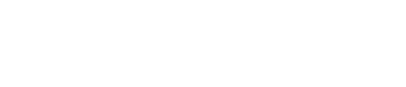 logo light